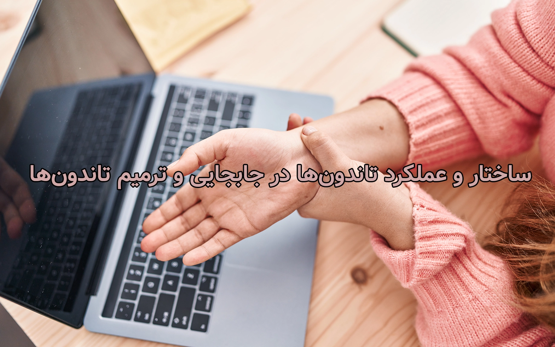 ساختار و عملکرد تاندون‌ها در جابجایی و ترمیم تاندون‌ها