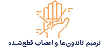 ترمیم تاندون‌ها و اعصاب قطع‌شده